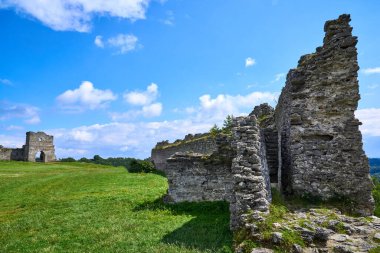 Yazın Ukrayna 'da eski bir şatonun kalıntıları.