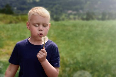 Tatlı bir çocuk yazın karahindiba emiyor..