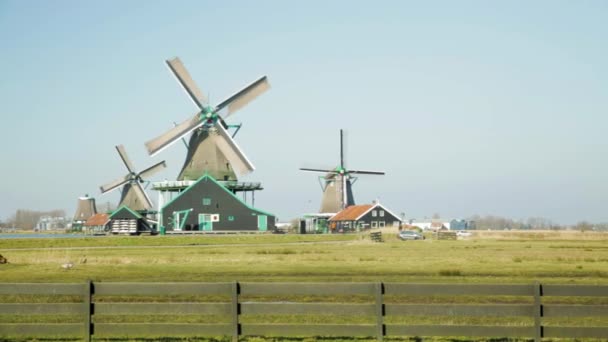 Zaanse Schans Nederland Toeristische Houten Huizen Windmolens Beelden — Stockvideo