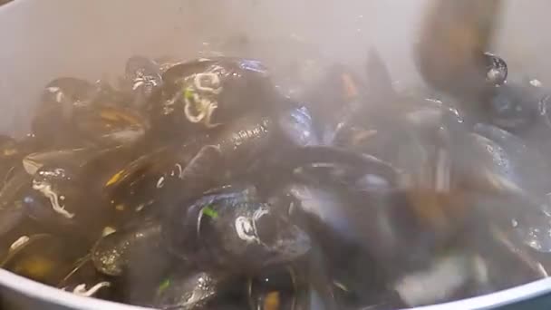Tencerede Midye Marinara Pişirmek Talyan Deniz Ürünleri Yemeği Yapmak — Stok video