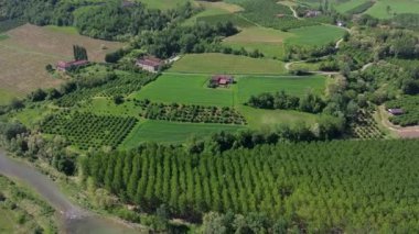 Verdant Vineyard Hills kırsal kesimlerde sakin doğa - İtalyan kepçesi 