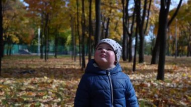 Küçük bir çocuk gökyüzüne bakar ve sonbahar parkındaki sarı ağaçların arasında gülümser. Video kaydı. Yakın plan.