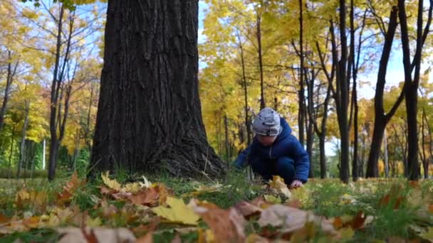 Ein Kleiner Junge Sitzt Unter Einem Großen Baum Und Spielt — Stockvideo