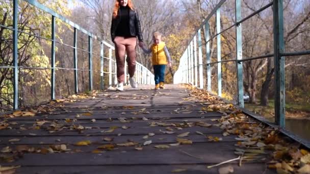 Genç Bir Anne Küçük Oğlu Sonbahar Ormanında Nehrin Üzerindeki Köprü — Stok video