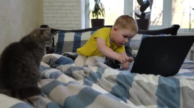 Yatakta kedisi olan küçük bir çocuk laptop ekranına bakar ve klavyedeki tuşlara basar. Yakın plan. Video.