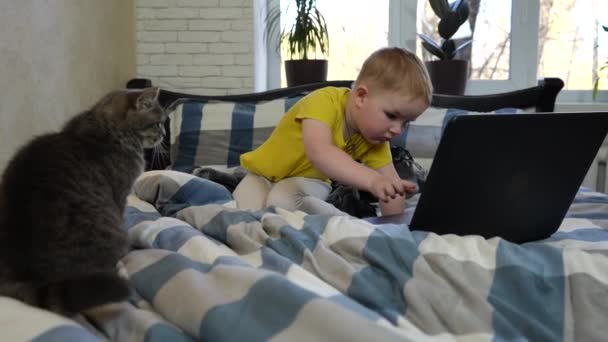 Malý Chlapec Kočkou Posteli Podívá Monitor Notebooku Stiskne Klávesy Klávesnici — Stock video