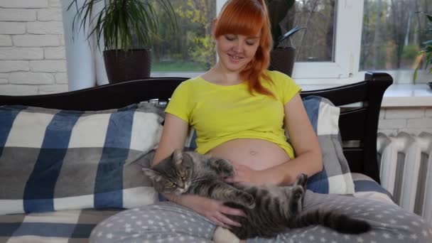 Una Joven Embarazada Con Vientre Grande Cama Acaricia Gato Sonríe — Vídeos de Stock