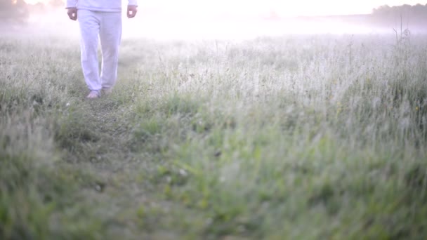 Man White Clothes Walks Barefoot Grassy Path Dew Video — Stock Video