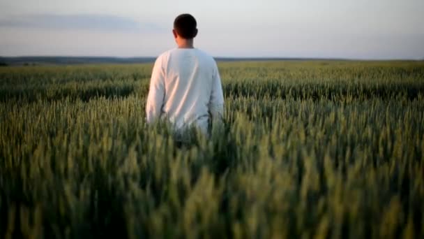 Man Dressed White Walking Tall Green Grass View Back Video — Stock Video