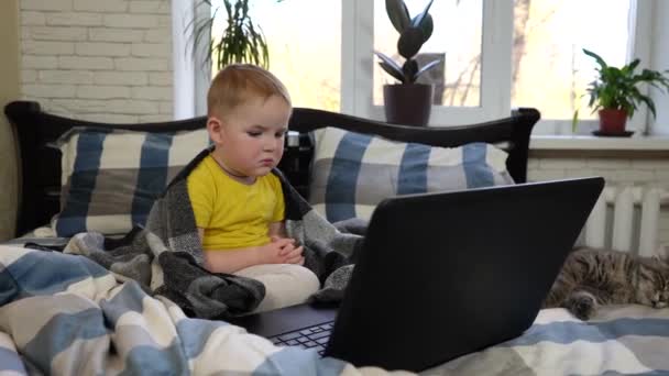 Schöner Kleiner Junge Mit Ernstem Blick Bett Blickt Einen Laptop — Stockvideo