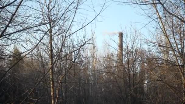 Bílá Pára Kouř Továrního Komína Mezi Stromy Bez Listí Koncept — Stock video