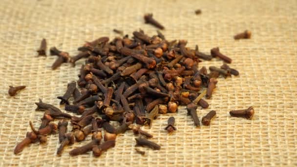 Lots Dried Clove Spice Scattered Surface Covered Burlap Pan Left — Stockvideo