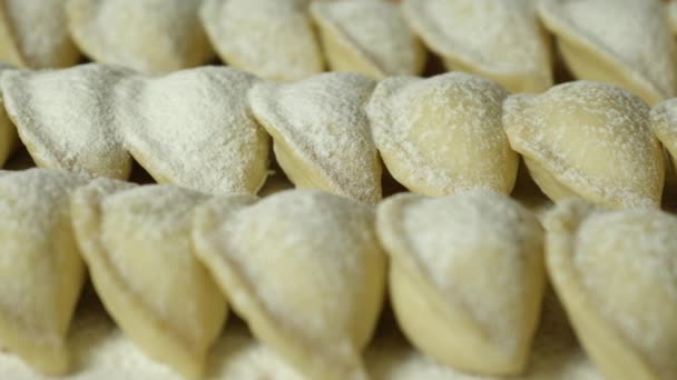 Ukrainian National Dish Raw Handmade Dumplings Sprinkled Flour Wooden Kitchen — Stockvideo