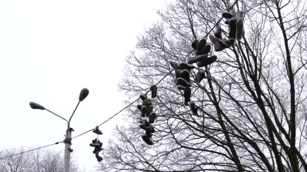 Old Worn Shoes Electric Wire Old Sneakers Electric Cable Protest — Video