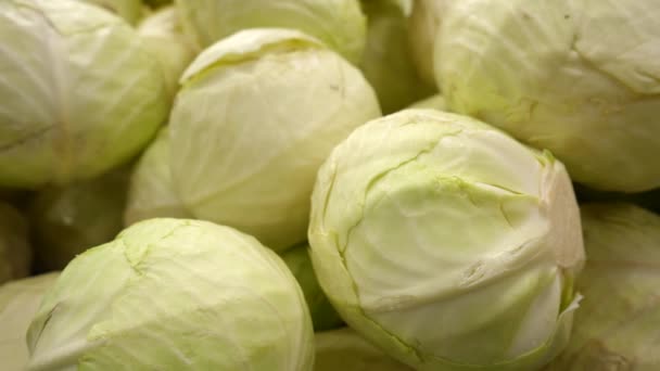 Juicy Fresh White Cabbage Counter Farm Shop Collection Storage Sale — Vídeo de Stock