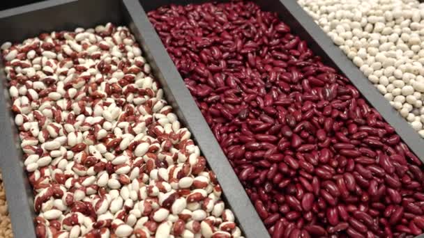 Different Types Beans Counter Store Red Beans White Beans Shell — Stock Video