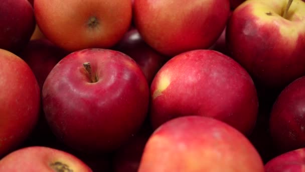 Fresh Juicy Appetizing Red Apples Store Shelf Harvesting Apples Counter — Stockvideo