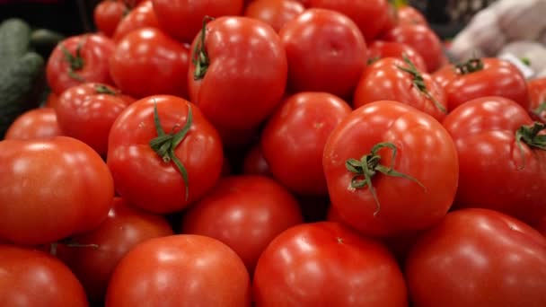 Fresh Red Ripe Juicy Tomatoes Stems Counter Farm Shop Collection — Video Stock