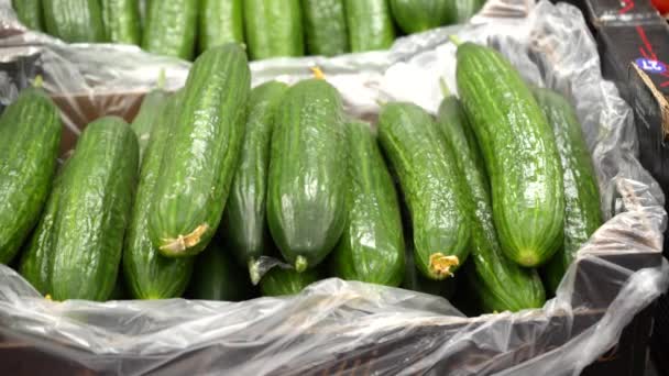 Frisse Groene Lange Komkommers Een Doos Met Een Voedselverpakking Toonbank — Stockvideo