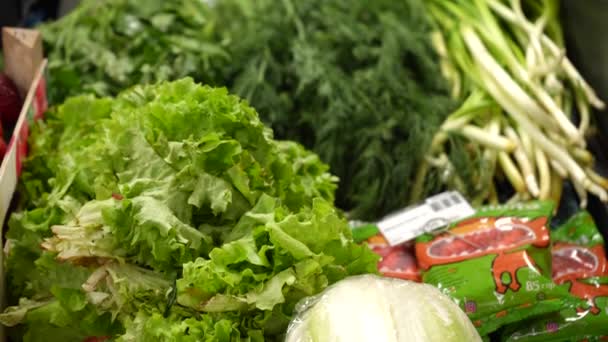 Leaves Fresh Green Lettuce Counter Farm Shop Fresh Juicy Greens — Vídeo de stock
