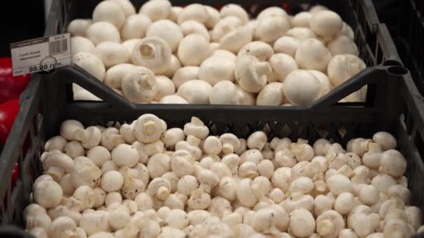 White Champignon Mushrooms Black Plastic Boxes Counter Farm Shop Concept — Stockvideo