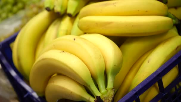 Zralé Žluté Banány Plastové Modré Krabici Pultu Farmářského Obchodu Sběr — Stock video