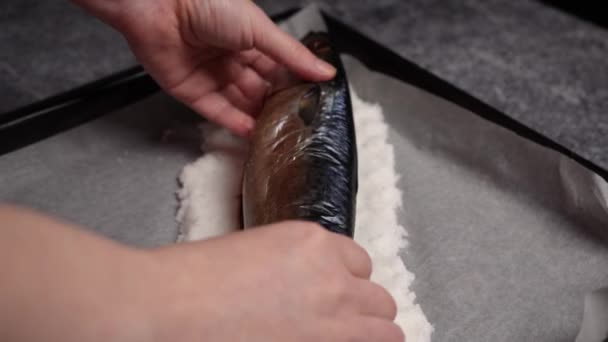 Cook Hands Lay Whole Fresh Mackerel Large Amount Salt Parchment — Stock Video