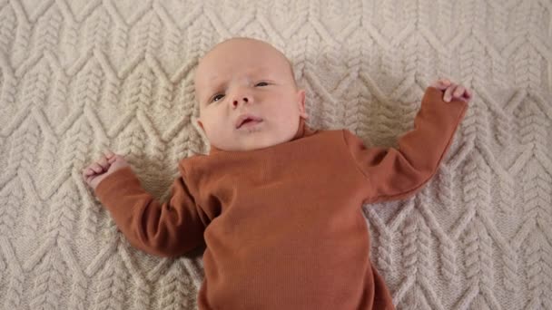 Ein Kleiner Junge Braunen Pullover Liegt Auf Einer Strickdecke Bewegt — Stockvideo