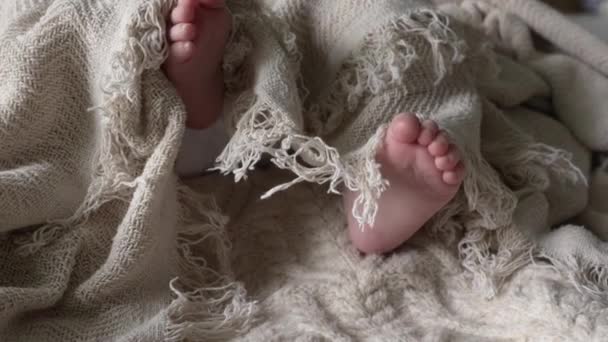 Маленькі Дитячі Ноги Новонародженої Дитини Під Ковдрою Крупним Планом — стокове відео