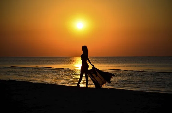 美しい少女が水面に沿って砂浜を歩いている 日没時に美しいセクシーな女の子のダークバックシルエット バックライト ナイスダークな背景 テキストの場所 — ストック写真