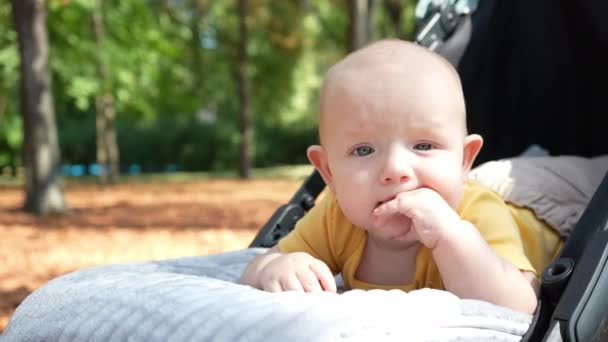 Küçük Bir Çocuk Bebek Arabasında Karnının Üzerine Yatar Elini Çiğner — Stok video