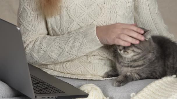 Unrecognizable Girl White Knitted Sweater Laptop Her Hands Strokes Gray — Stock Video