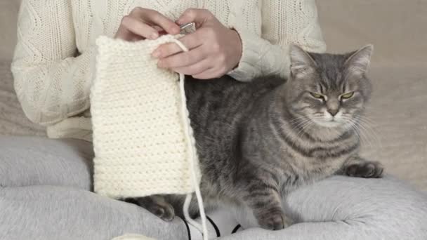 Unrecognizable Girl White Knitted Sweater Tries Knitted Product Fluffy Gray — Stock Video