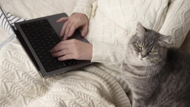 Unrecognizable Girl White Knitted Sweater Types Laptop Keyboard Strokes Fluffy — Stock Video