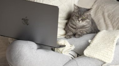 Krivoy Rog Ukrayna - 12.10 2023: Beyaz örgü kazaklı, kollarında kedisi olan tanınmayan bir kız dizüstü bilgisayar klavyesi Apple MacBook Pro Grey 'e yazı yazıyor. Yakın plan. Yan görüş. 4k görüntü