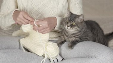 Tığ işi yakın plan. Tanınmayan bir kız kollarında bir kediyle örgü örüyor. Önüne bak. Yüksek kalite 4k görüntü