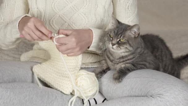 Crochet Close Unrecognizable Girl Crocheting Cat Her Arms View Straight — Stock Video