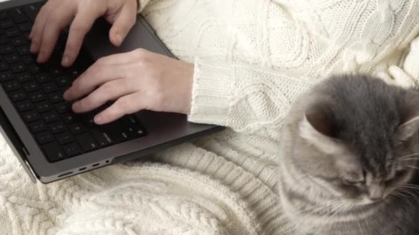 Nierozpoznawalna Dziewczyna Białym Swetrze Dzianiny Pracuje Przenośnym Laptopie Kanapie Bierze — Wideo stockowe
