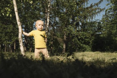 Ormanda sarı tişörtlü küçük bir çocuk bir ağaç gövdesine tutunuyor. Parkta yürüyüş yapan bir yaşında tatlı bir bebek. Yüksek kalite fotoğraf