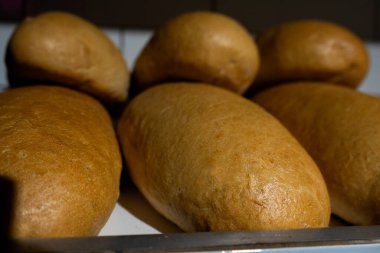 Bir fırının rafında taze pişmiş oval maya ekmeği. Market rafında altın kahverengi kabuklu iştah açıcı somunlar. Yakın plan..