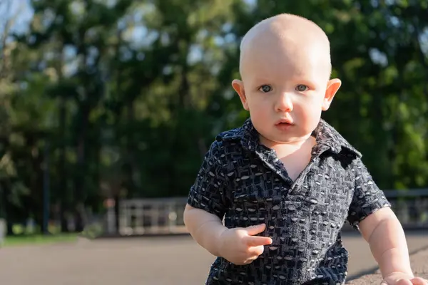 Parktaki sevimli kel kulaklı çocuk doğrudan kameraya bakıyor. Yeşil yapraklı bir arka planda tişört giymiş güzel bir bebek. Mesaj için yer. Yüksek kalite fotoğraf