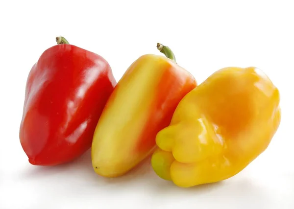 Ποικιλίες Νόστιμες Πιπεριές Υγιεινό Λαχανικό Από Κοντά — Φωτογραφία Αρχείου