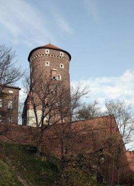 Krakow kalede Wawel krallar