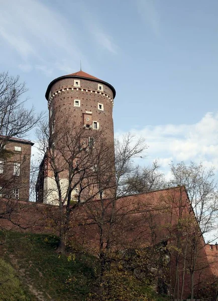 Kasteel Van Wawel Koningssaga Krakau — Stockfoto