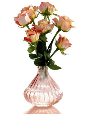 güzel gül beyaz arkaplanda izole edilmiş yakın plan 