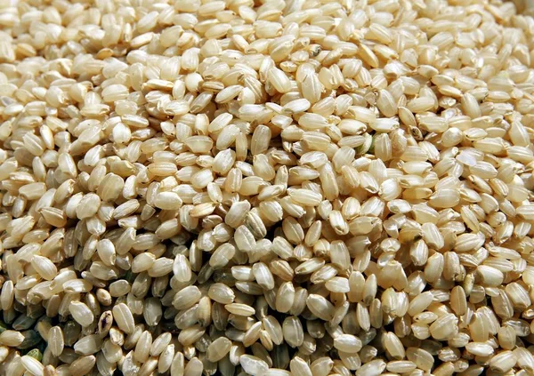 Zrnka Kulaté Hnědé Rýže Vaření Zdravého Vegetariánského Jídla — Stock fotografie