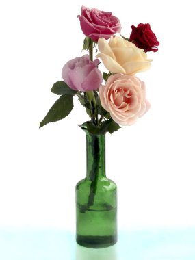 Güzel güller, cam vazo. Yaklaş.