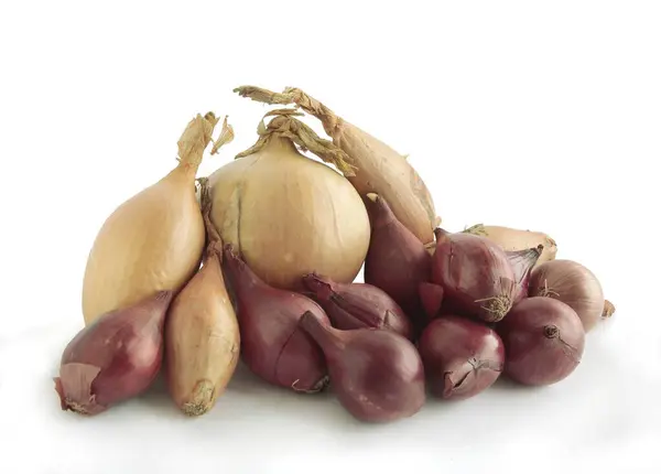 Various Onions Tastymspicy Vegetable Close — Stock Photo, Image