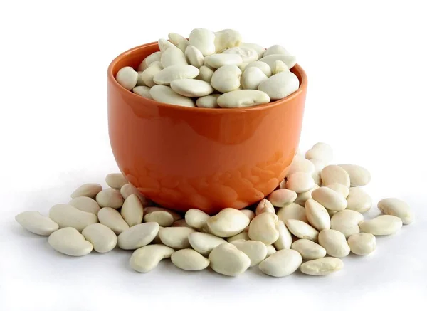 Semințele Fasole Alimente Vegetale Vegetariene — Fotografie, imagine de stoc