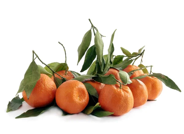 Orangen Als Köstliche Süße Und Saftige Zitrusfrüchte Mit Vitaminen — Stockfoto